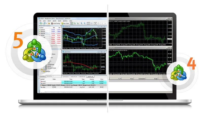 TradeWise Review RoboForex MT4